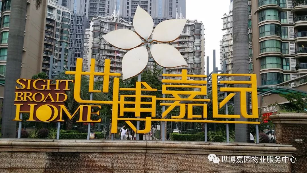 澳门一码一肖一特一中直播，动态词语解释落实_VIP46.8.38