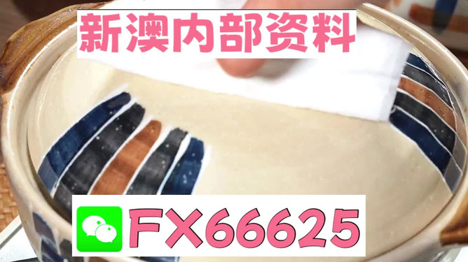 新澳精准资料免费提供网，动态词语解释落实_GM版9.38.2