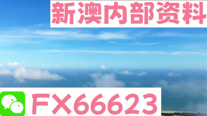 2024新澳免费资料内部玄机，最新热门解答落实_The87.78.77