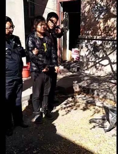 河北邯郸某村庄村民多人遭杀害惨案，深度分析与观察