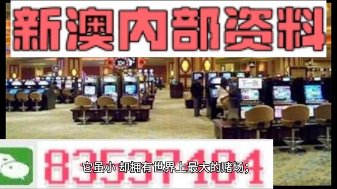 2024年新澳门免费资料大全，数据资料解释落实_3D75.71.62