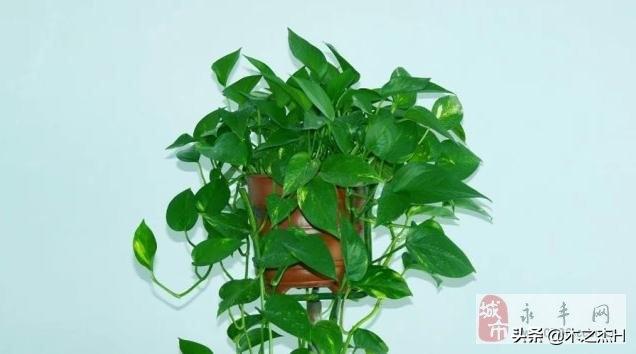 十二生肖赚钱的软件app，最新正品解答落实_3D7.60.26