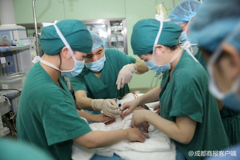 医院回应双胞胎产检正常却胎死腹中事件，探寻真相与预防策略