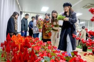 长安街鲜花背后的故事，变化、学习与自信的力量，温暖千家万户心灵深处
