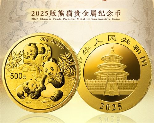 独家揭秘，探秘小巷深处的宝藏——2025版熊猫贵金属纪念币发行特典