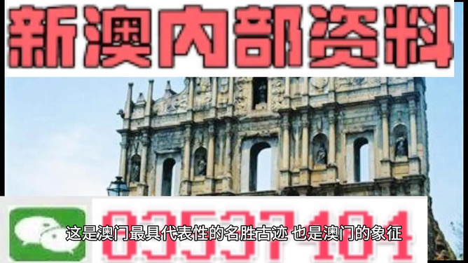 2024年新澳门免费资料大全，效率资料解释落实_V版63.59.53