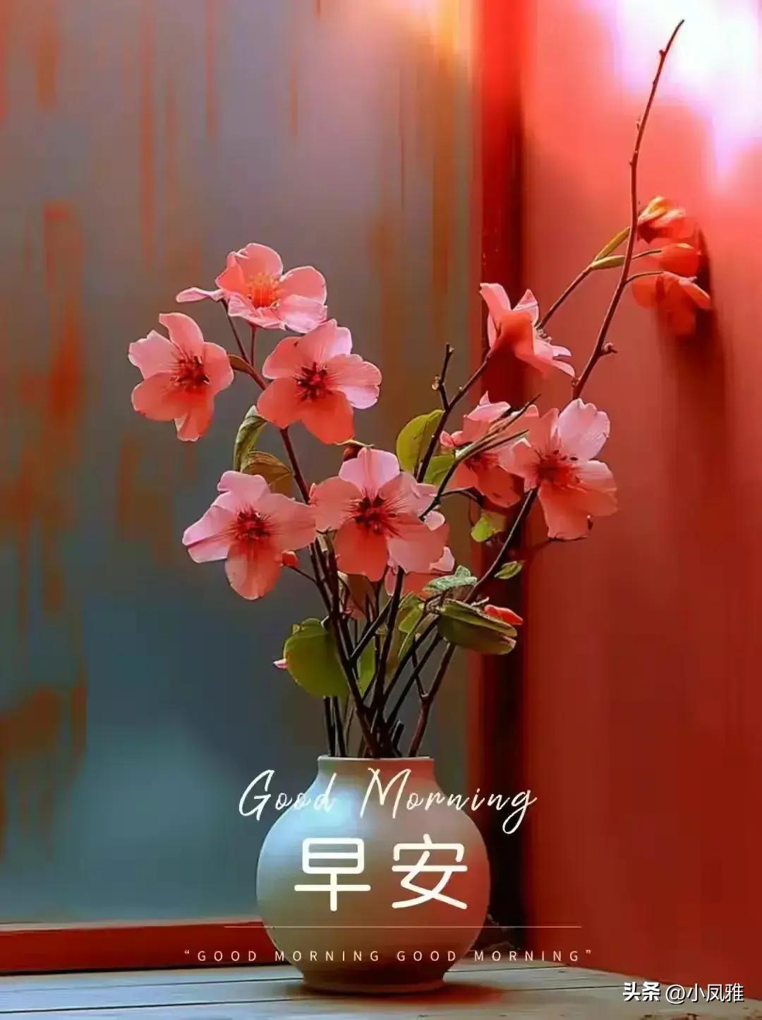 2024天天彩全年免费资料，最新热门解答落实_GM版7.27.87