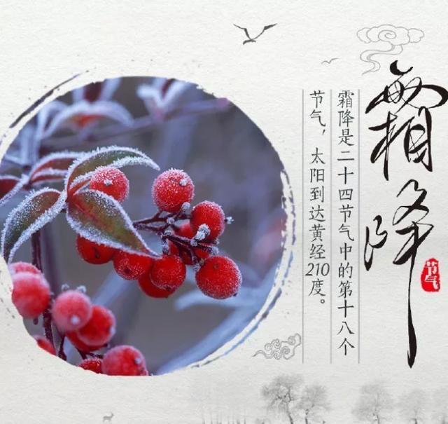 今日霜降，励志前行不止步