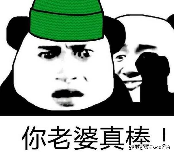 向佐怒斥大学表情包打卡收款现象，公众对新型管理方式的反思与探讨