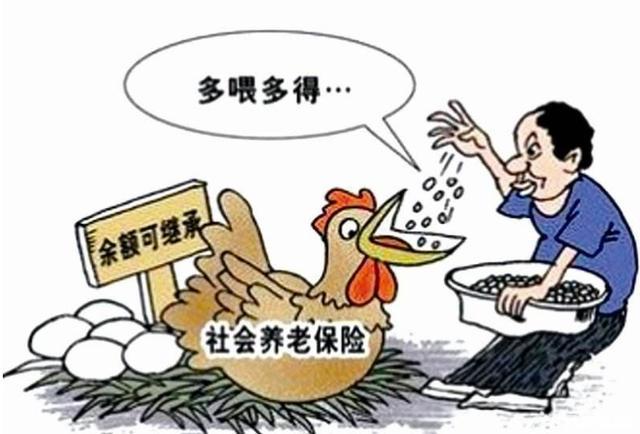 老人养老金全投榜一大哥，寻求心灵平静之旅投入自然怀抱