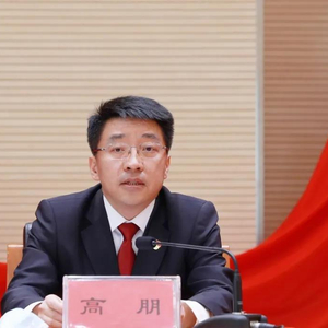 北京市原副市长高朋被双开，背后的故事深度解析