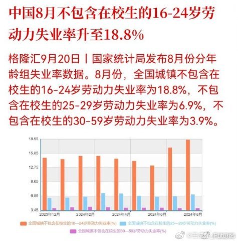 官方公布9月份分年龄组失业率数据，洞悉就业市场新动向重磅解读