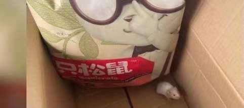 第6193页