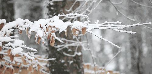 中东部地区遭遇雨雪大风降温天气，气象预警启动！