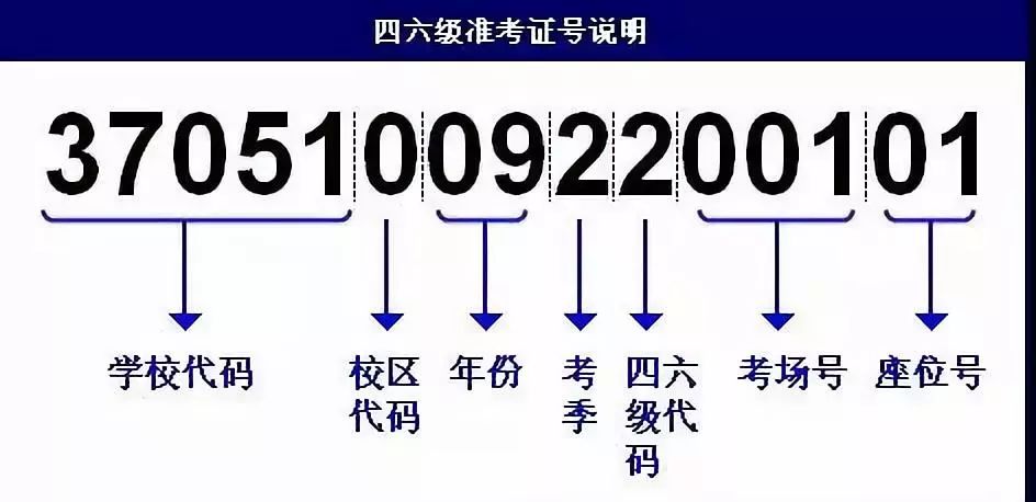 新澳门黄大仙三期必出,快速设计问题策略_会员款48.869