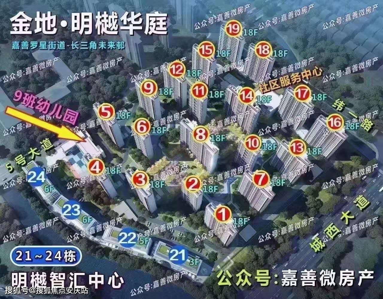 4949澳门今晚开奖结果,时间管理解答落实_防护集20.7