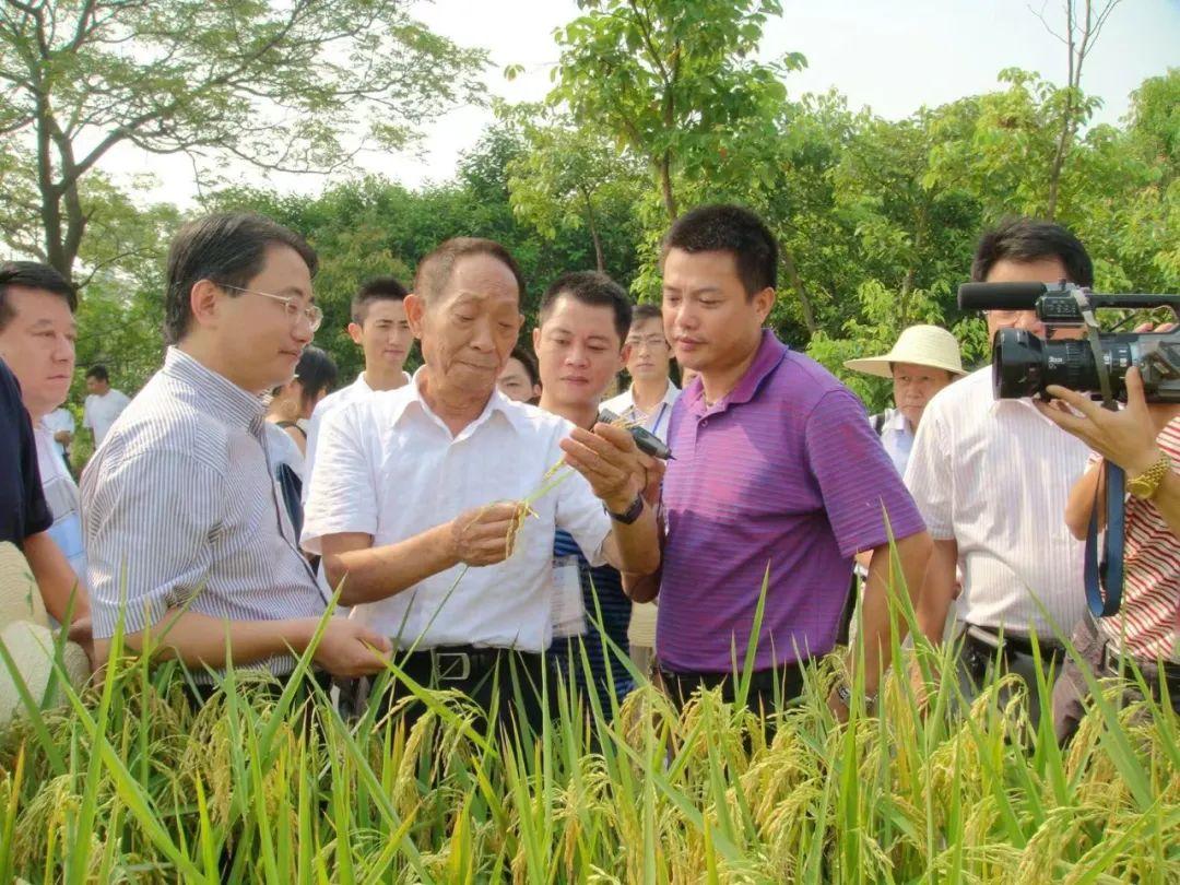 袁隆平，非洲农民的科技导师