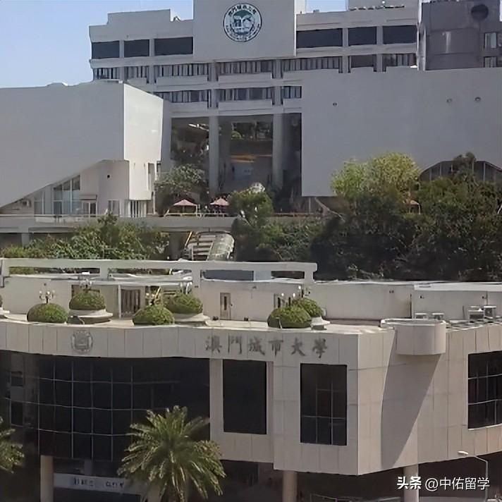 2024澳门天天开好彩大全凤凰天机,赢家结果揭晓_超凡版205.83