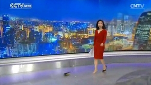 新澳门出今晚最准确一肖,准确资料解释_定制版OSN245.8
