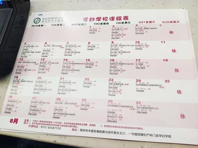 澳门免费正版资料大全，安全解读攻略_网红DAF63.65版