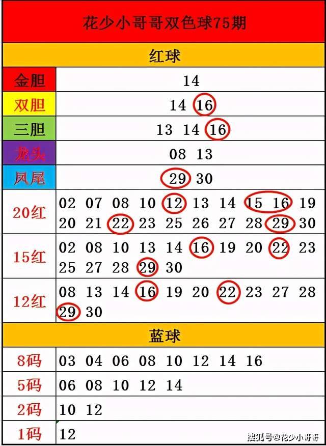 白小姐今晚特马期期准六,状况评估解析_便携版YWB604.22