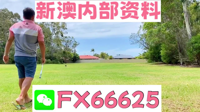 第5775页