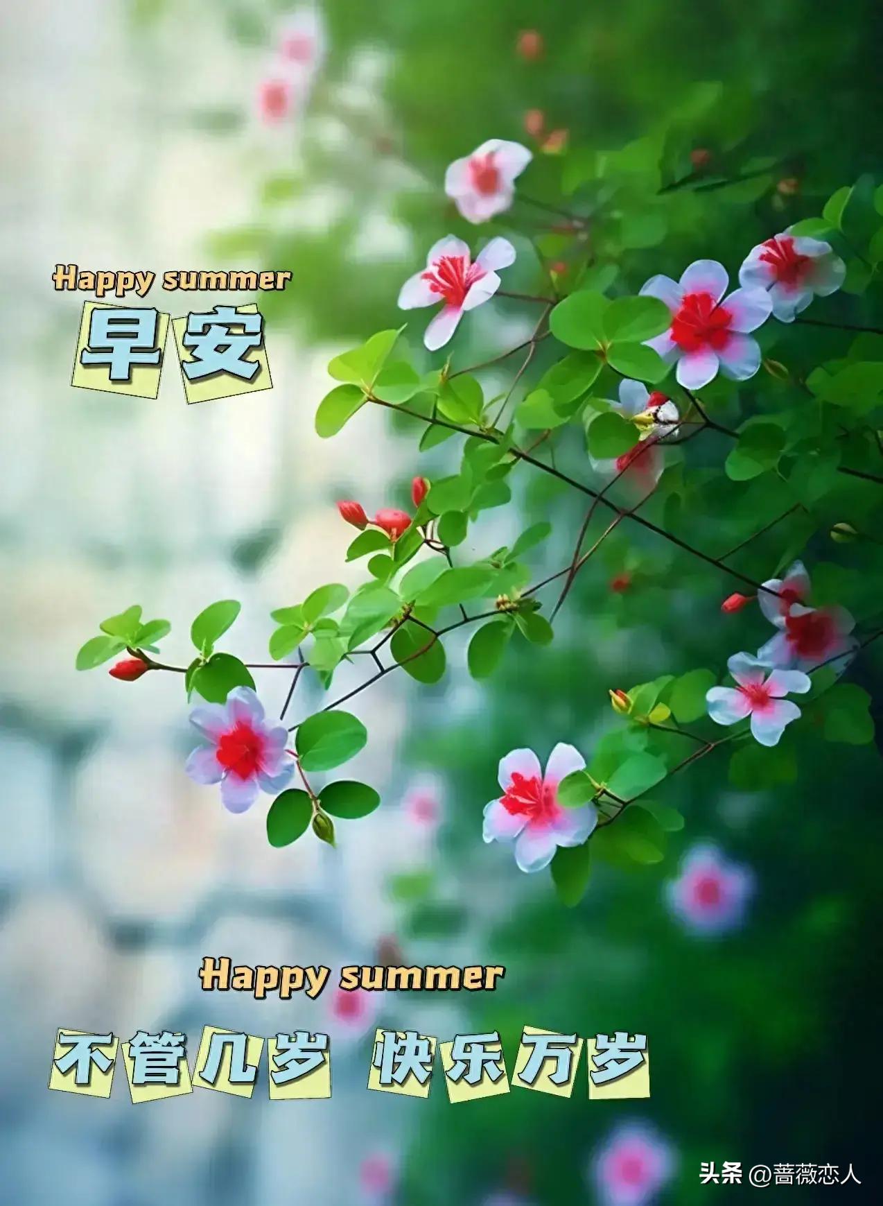 2024天天彩免费资源，综合评测解析动画版PCH107.53