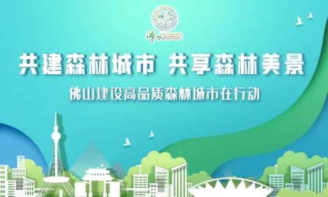 澳门正版资料大全匮乏如石，数据综合解析版KXW327.88