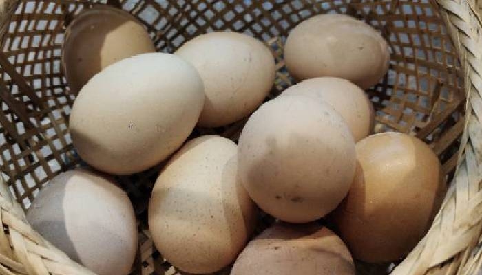 台湾鸡蛋逆袭之路，从过剩百万到机遇的励志故事