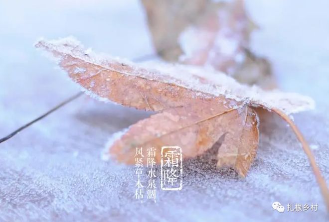 霜降晴天
