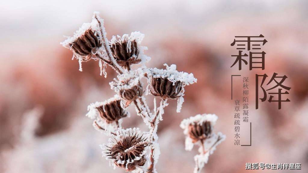 霜降饮食指南