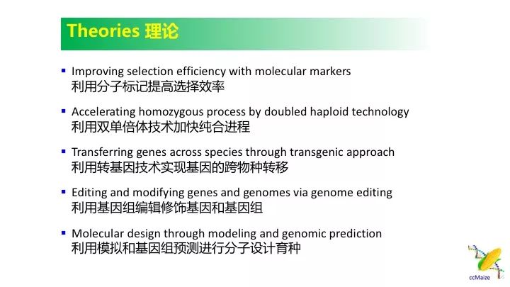 澳门今晚预测精准一肖，综合评估体系_毛坯版JUB679.35