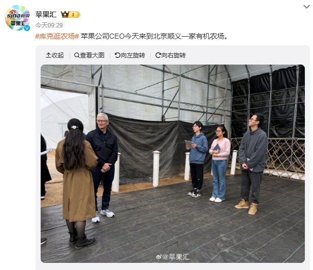 苹果CEO库克与摄影师陈漫探秘北京胡同独特小店