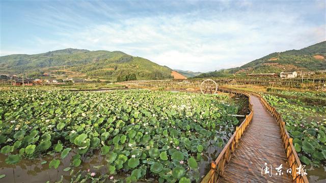 古田最新新闻，拥抱自然，心灵平静之旅的探寻