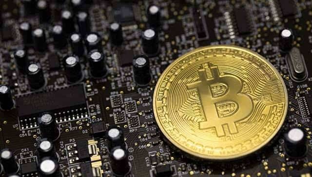 数字货币最新动态，引领数字生活新时代的科技新星
