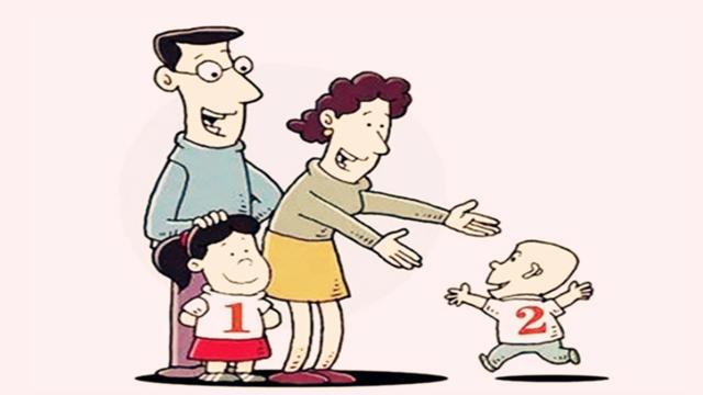 二胎政策最新详解，从入门到进阶的全方位指南
