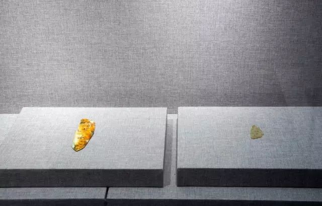 涤纶丝最新价格小红书分享，全面更新，一网打尽所有信息！