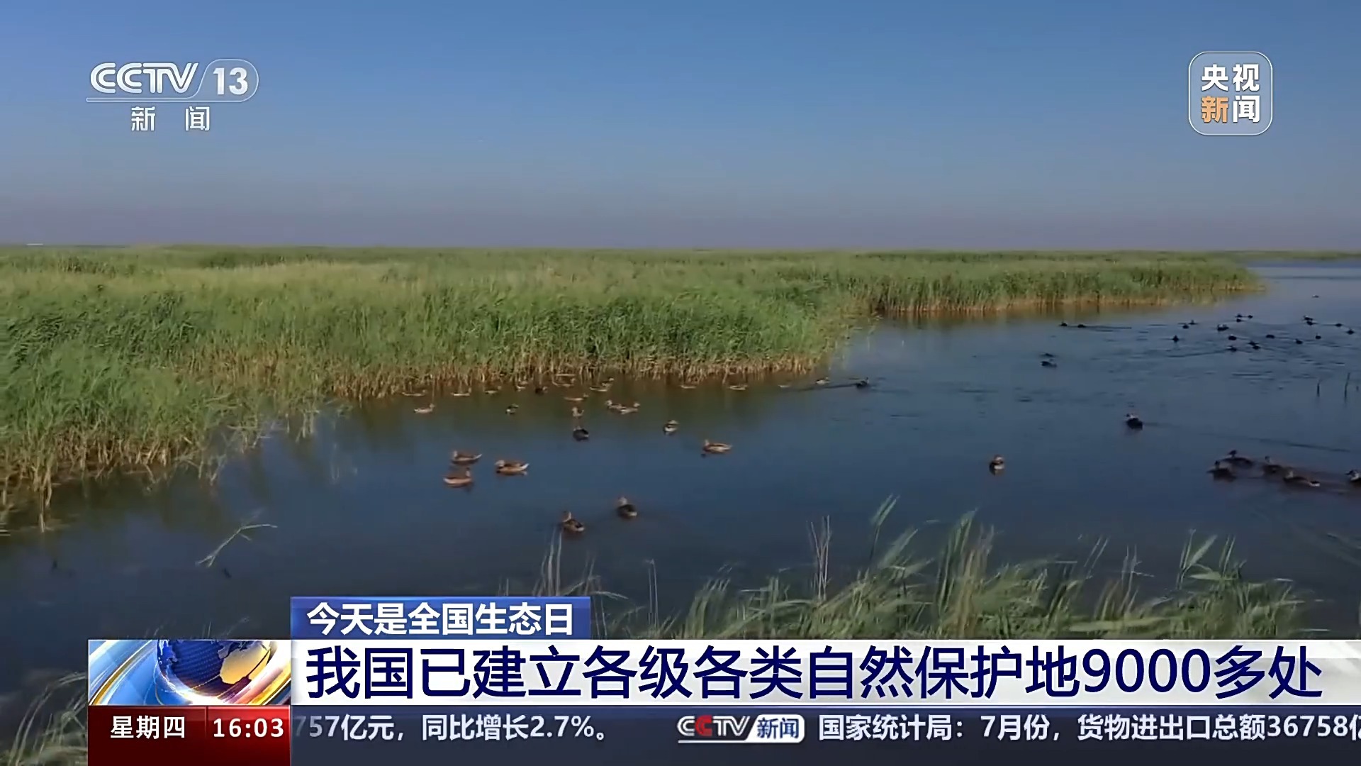 乐至宝石水库最新动态，自然美景的探索之旅，寻觅内心平和与宁静的胜地
