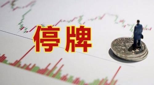 金山股份最新消息重组,金山股份最新消息重组，小巷深处的特色惊喜，一场探索未知的奇妙之旅