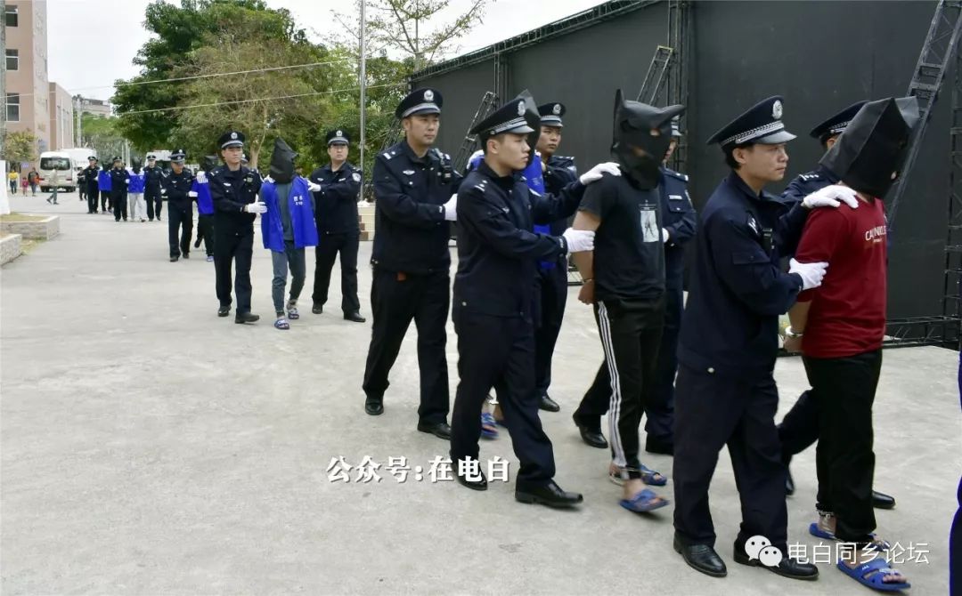 电白电城最新案件,电白电城最新案件概述