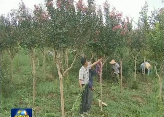 合肥肥西最新新闻报道