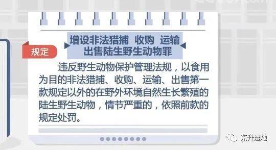 警惕非法色情网站，远离1024最新手机网址，遵守法律与道德准则