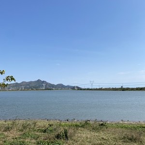 白坑湖的最新动态,成长中的湖泊与我们的共同前行。