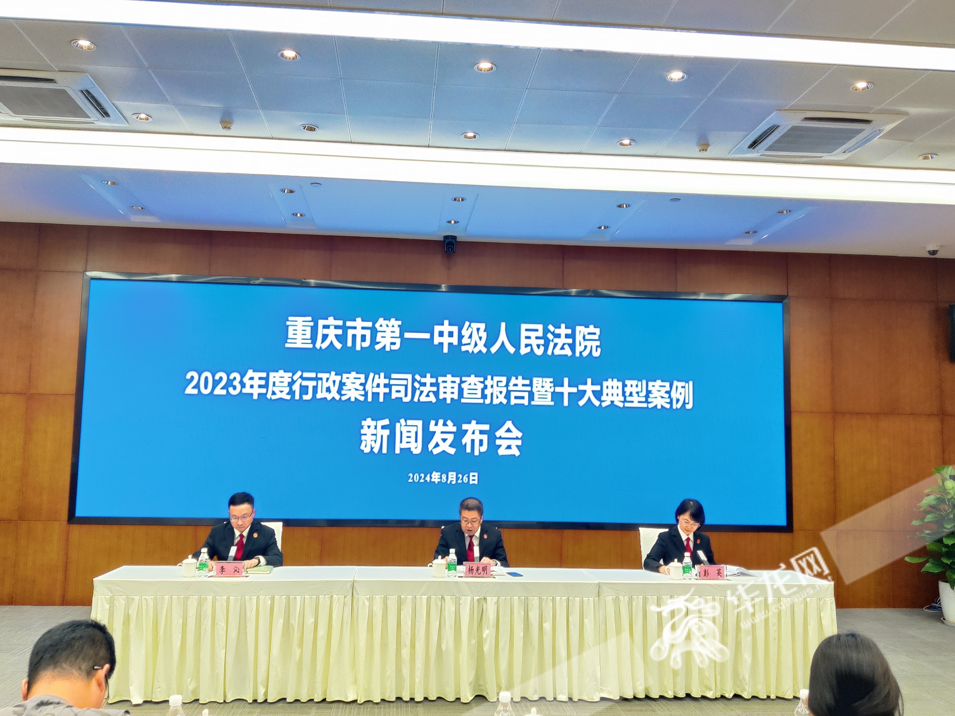 今日叶县新闻多维度的探讨与观点阐述