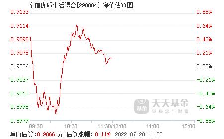 今日最新净值，解析260109基金净值查询