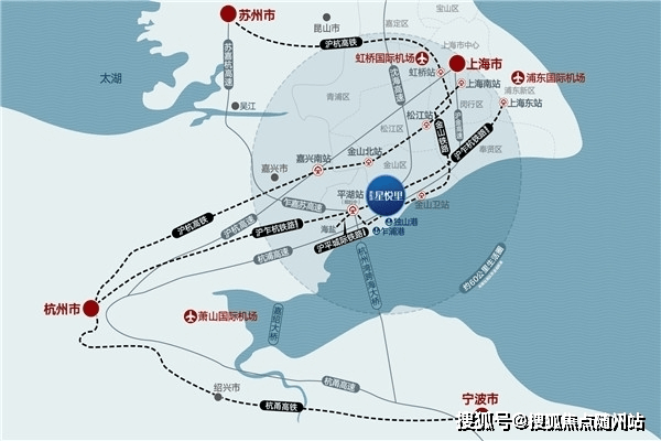 最新店铺的崛起及其深远影响，深度解析与探讨