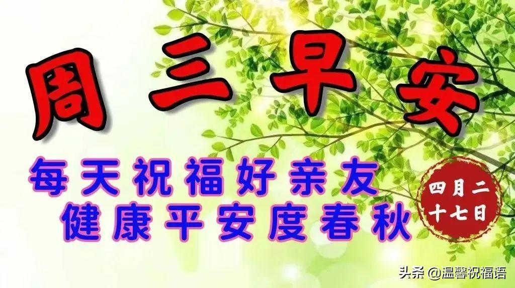 最新典的温馨日常，友情、欢笑与家的温暖时光