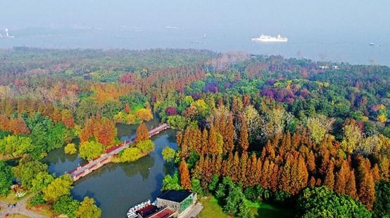 浦东铁路二期最新动态，项目进展及其地区影响深度解析