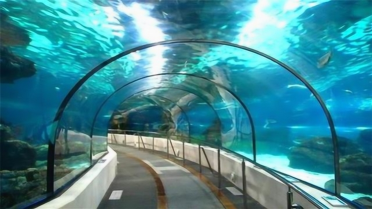 烟台海底隧道最新进展报告