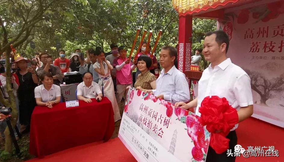 高州万福新城最新消息,数据详解说明_网红版23.604
